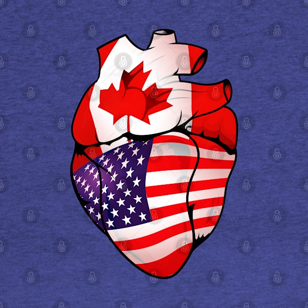 American Canadian Split Anatomical Heart With Flags - USA-Canada by Biped Stuff